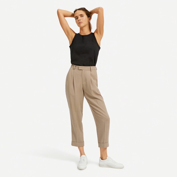 Everlane Puttogether Pleat Pant Clay 